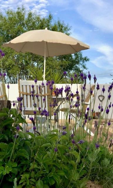 Todos Y Tonya Bed & Breakfast อาร์ชิโดนา ภายนอก รูปภาพ