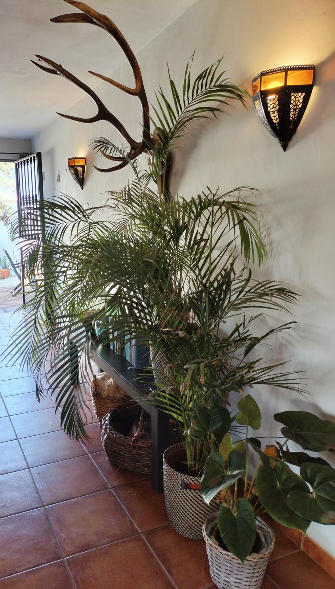 Todos Y Tonya Bed & Breakfast อาร์ชิโดนา ภายนอก รูปภาพ