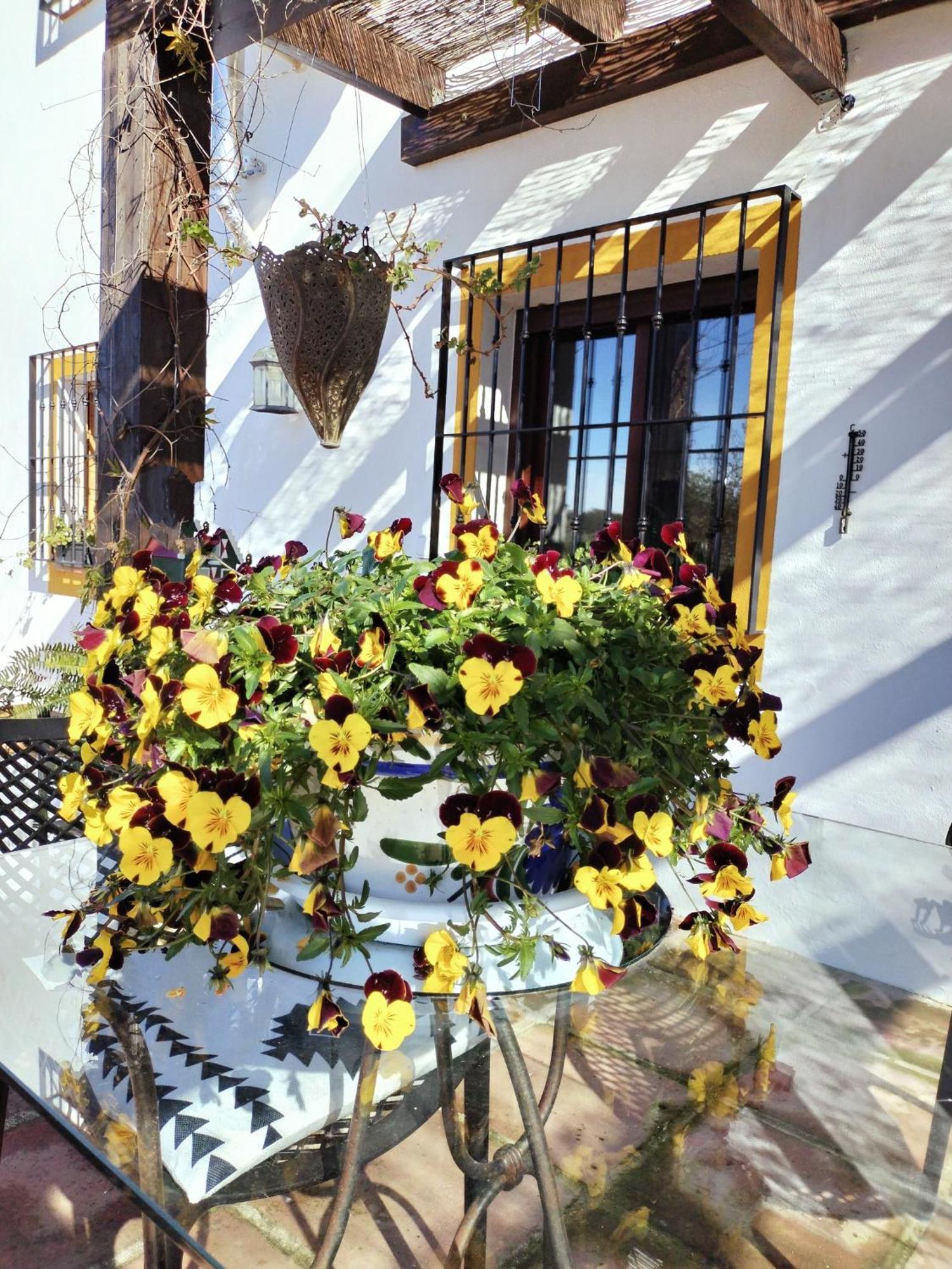 Todos Y Tonya Bed & Breakfast อาร์ชิโดนา ภายนอก รูปภาพ